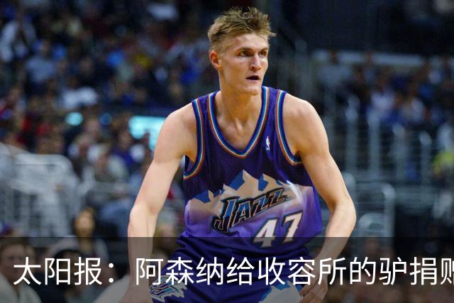 太阳报：阿森纳给收容所的驴捐赠40双球袜，保护它们腿部免受感染